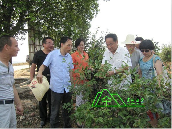 江西省油茶辦主任、工程師孫勇、省科技廳農(nóng)村工作處副處長(zhǎng)、副調(diào)研員尹伊等基地指導(dǎo)工作