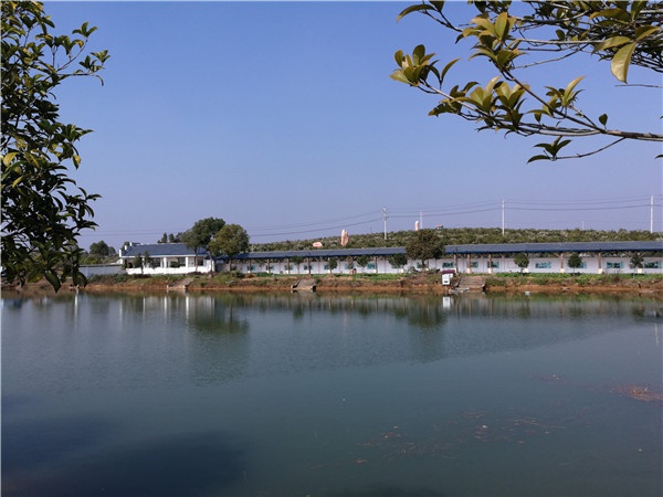 文化長廊