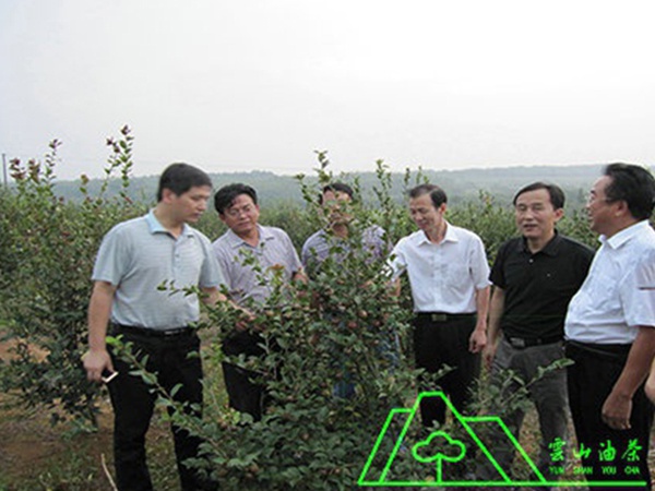 林業(yè)廳科技處處長(zhǎng)、省林科院黨委副書(shū)記研究院初來(lái)我油茶基地調(diào)研指導(dǎo)工作